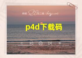 p4d下载码