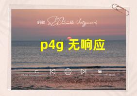 p4g 无响应