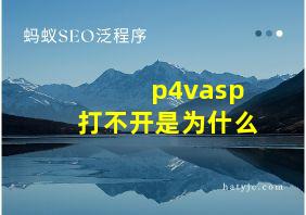 p4vasp打不开是为什么