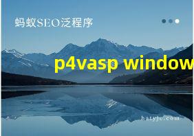 p4vasp windows