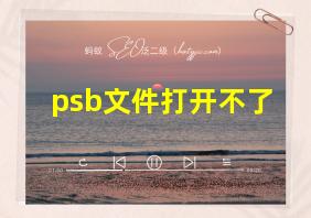 psb文件打开不了