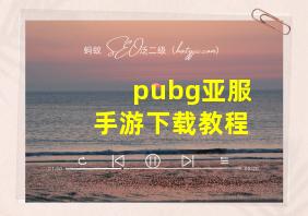 pubg亚服手游下载教程