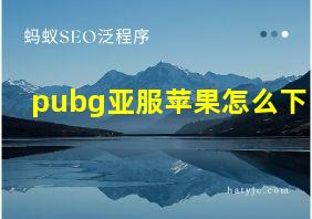 pubg亚服苹果怎么下