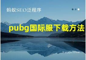 pubg国际服下载方法