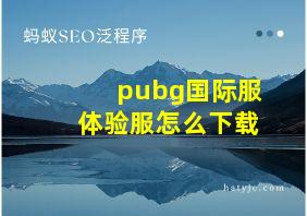 pubg国际服体验服怎么下载