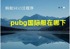 pubg国际服在哪下