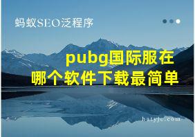 pubg国际服在哪个软件下载最简单