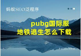 pubg国际服地铁逃生怎么下载