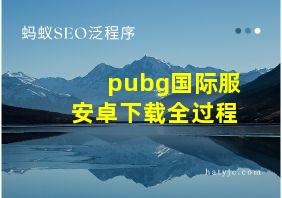 pubg国际服安卓下载全过程