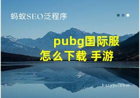 pubg国际服怎么下载 手游