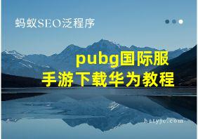 pubg国际服手游下载华为教程