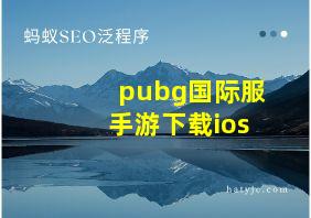 pubg国际服手游下载ios