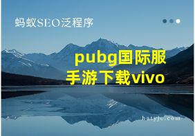 pubg国际服手游下载vivo