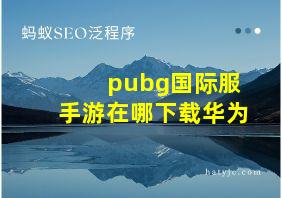 pubg国际服手游在哪下载华为