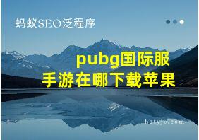 pubg国际服手游在哪下载苹果