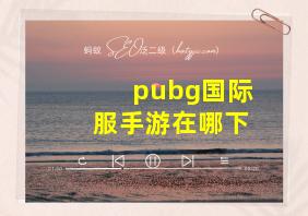 pubg国际服手游在哪下