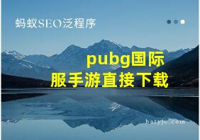 pubg国际服手游直接下载