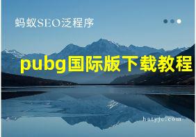 pubg国际版下载教程