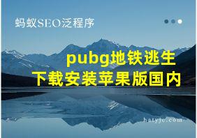 pubg地铁逃生下载安装苹果版国内