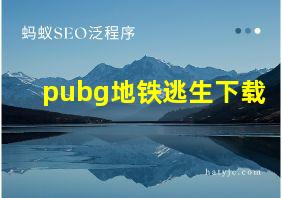 pubg地铁逃生下载