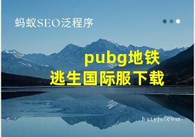 pubg地铁逃生国际服下载