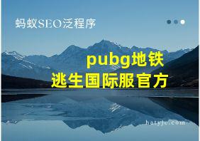 pubg地铁逃生国际服官方