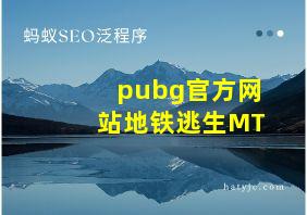 pubg官方网站地铁逃生MT