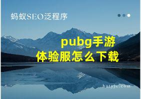 pubg手游体验服怎么下载