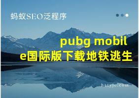 pubg mobile国际版下载地铁逃生