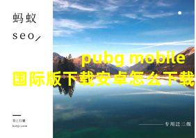 pubg mobile国际版下载安卓怎么下载