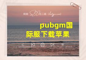 pubgm国际服下载苹果