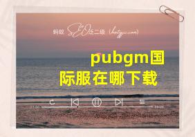 pubgm国际服在哪下载