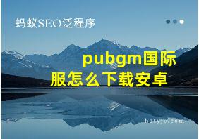 pubgm国际服怎么下载安卓