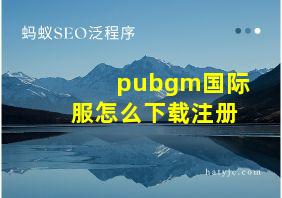 pubgm国际服怎么下载注册