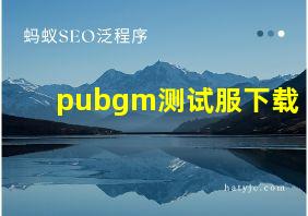 pubgm测试服下载