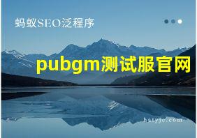 pubgm测试服官网