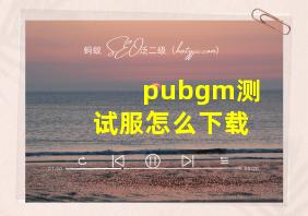 pubgm测试服怎么下载