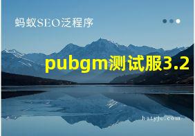 pubgm测试服3.2