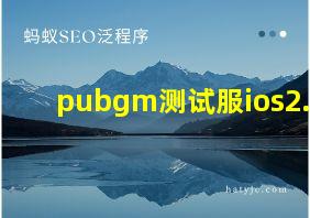 pubgm测试服ios2.4