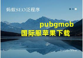 pubgmob国际服苹果下载