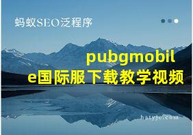 pubgmobile国际服下载教学视频