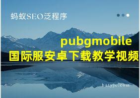 pubgmobile国际服安卓下载教学视频