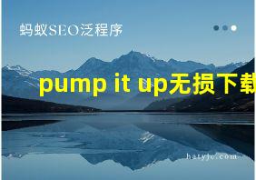 pump it up无损下载