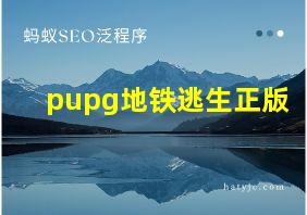 pupg地铁逃生正版