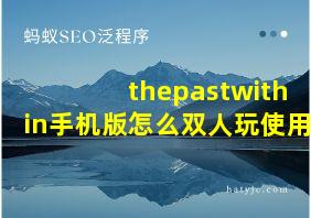 thepastwithin手机版怎么双人玩使用