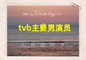 tvb主要男演员