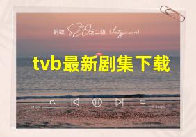 tvb最新剧集下载