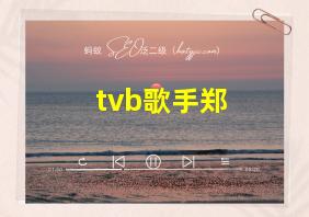 tvb歌手郑