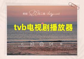 tvb电视剧播放器