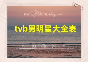 tvb男明星大全表